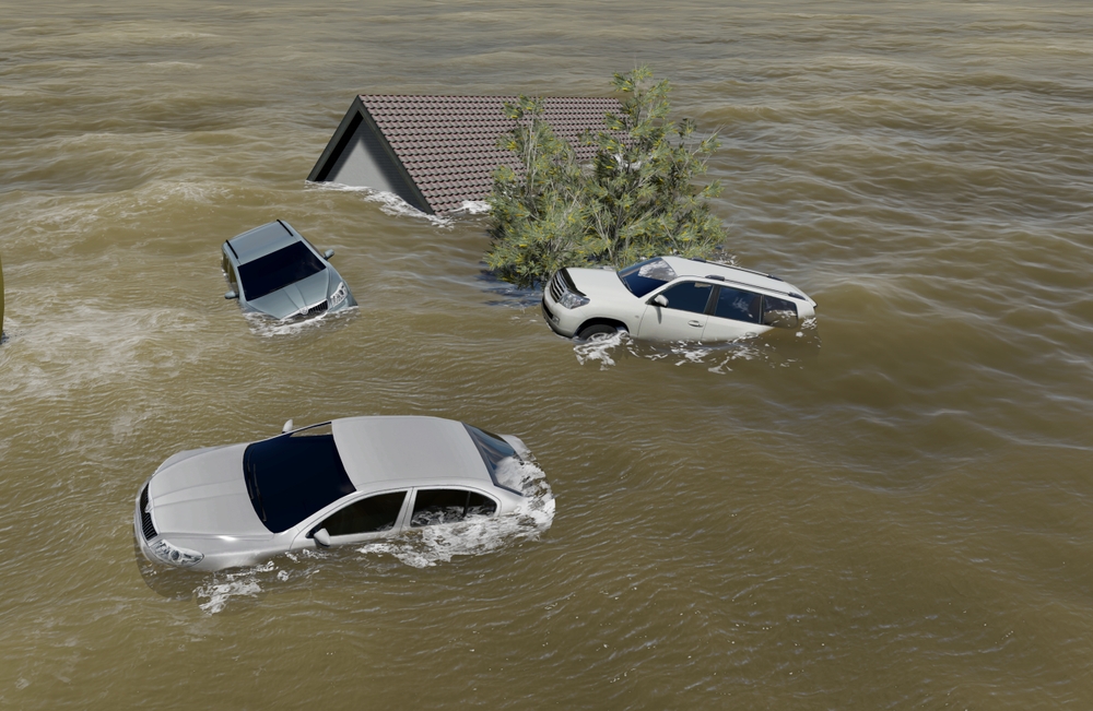cars and house underwater in Pakistan